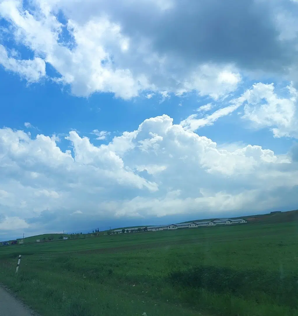 اجاره زمین کشاورزی دیم