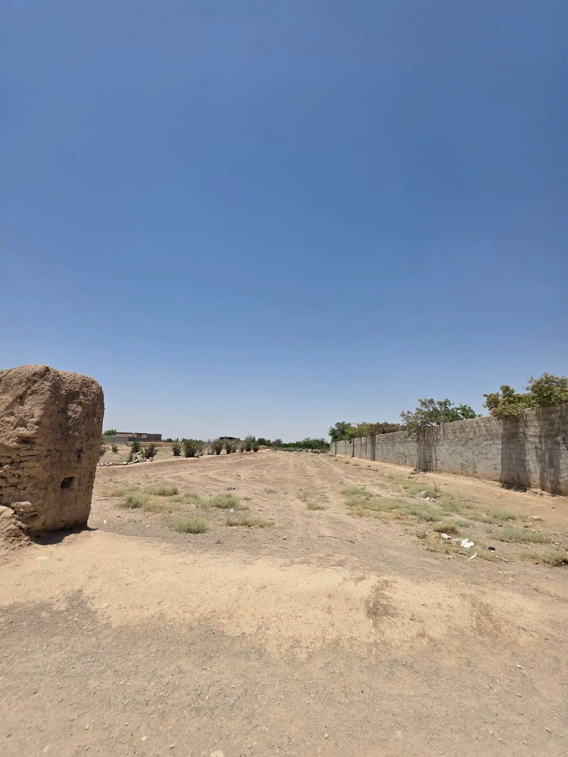 زمین کارگاهی باغی
