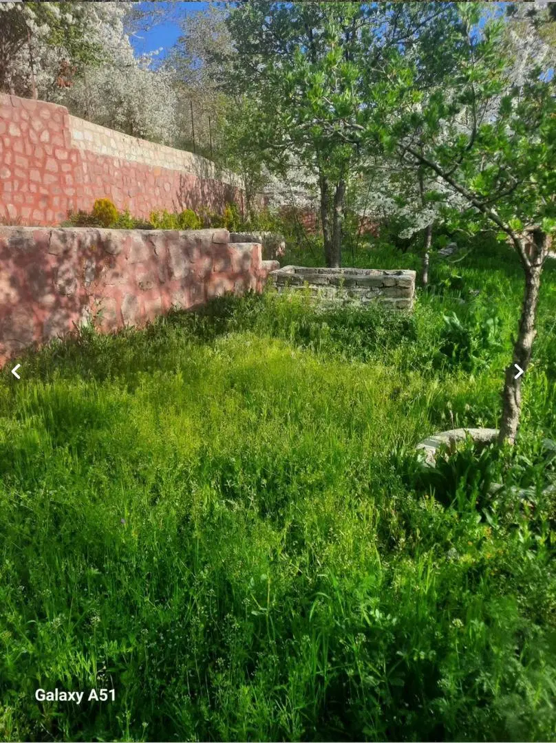 باغچه نقلی لواسان کوچک