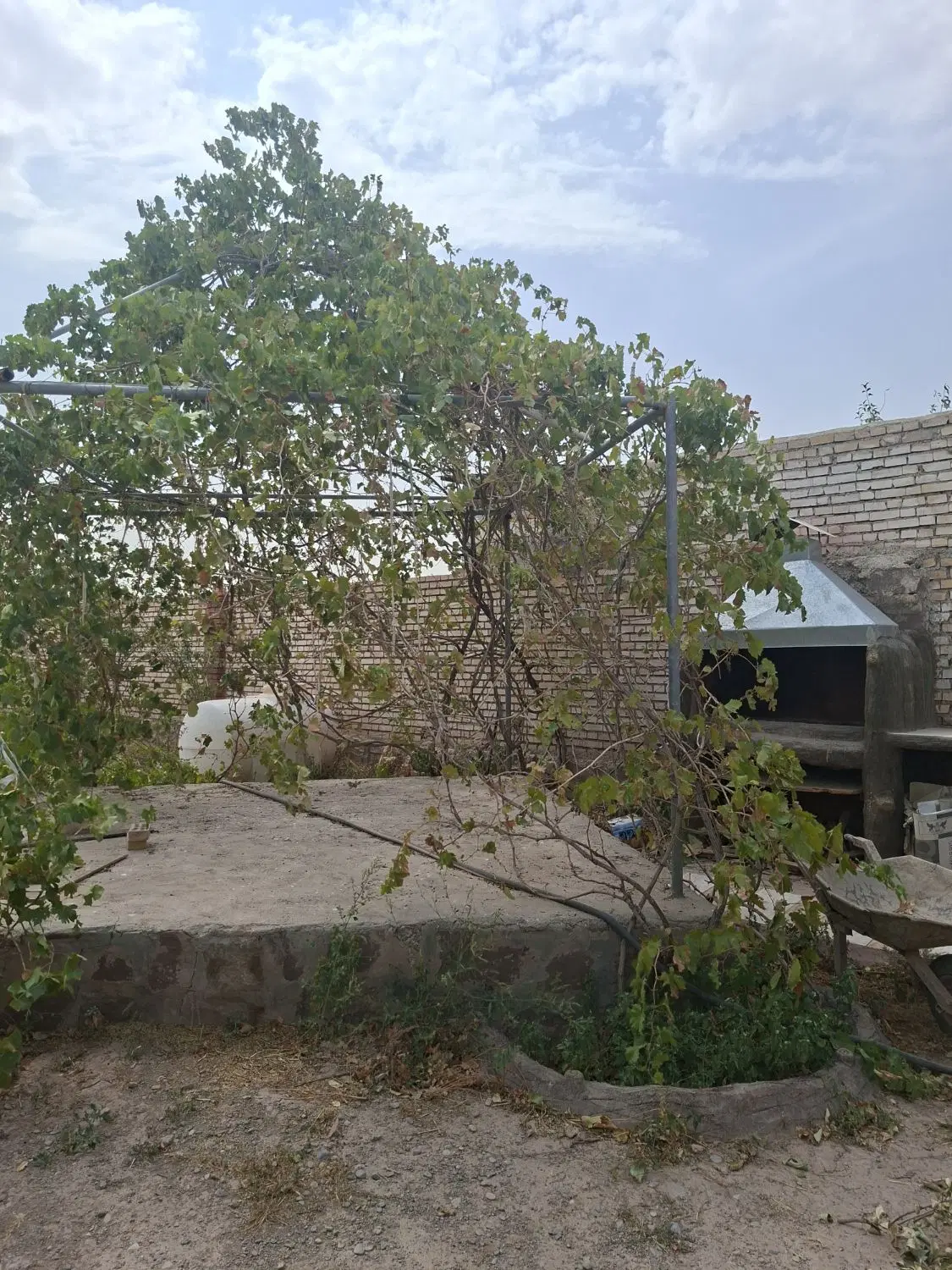 باغ ۵۵۰۰ متری دور دیوار شهرستان رادکان