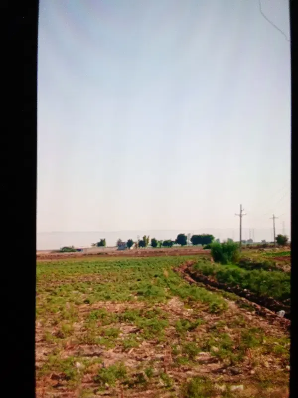 زمین اجاره ای