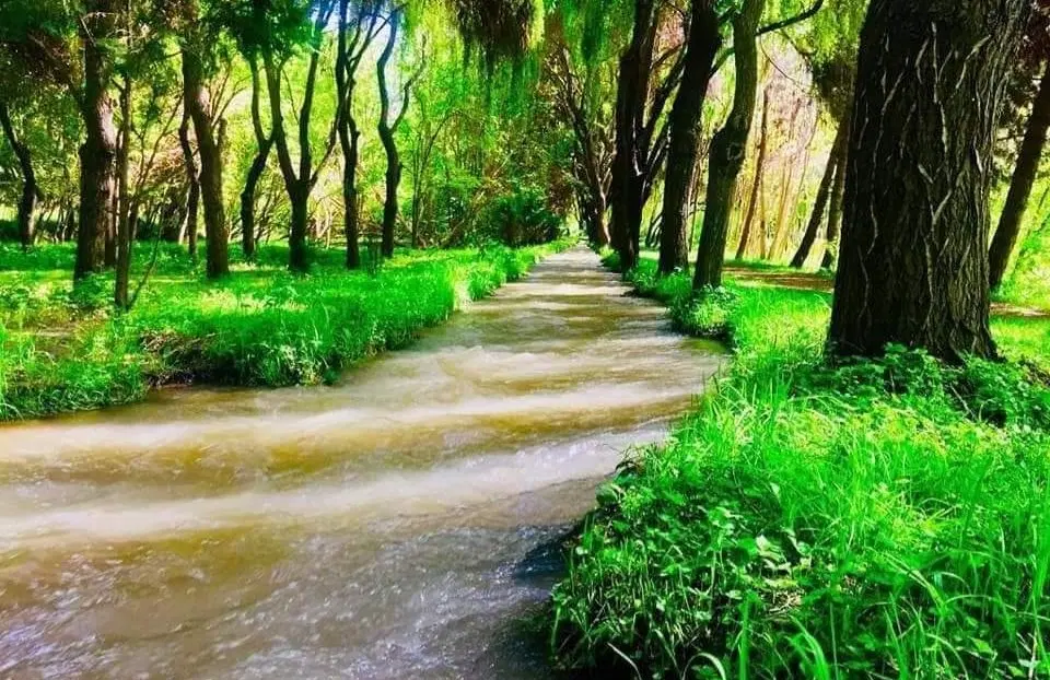 ۲۵۰ متر زمین سند ششدانگ زعفرانیه