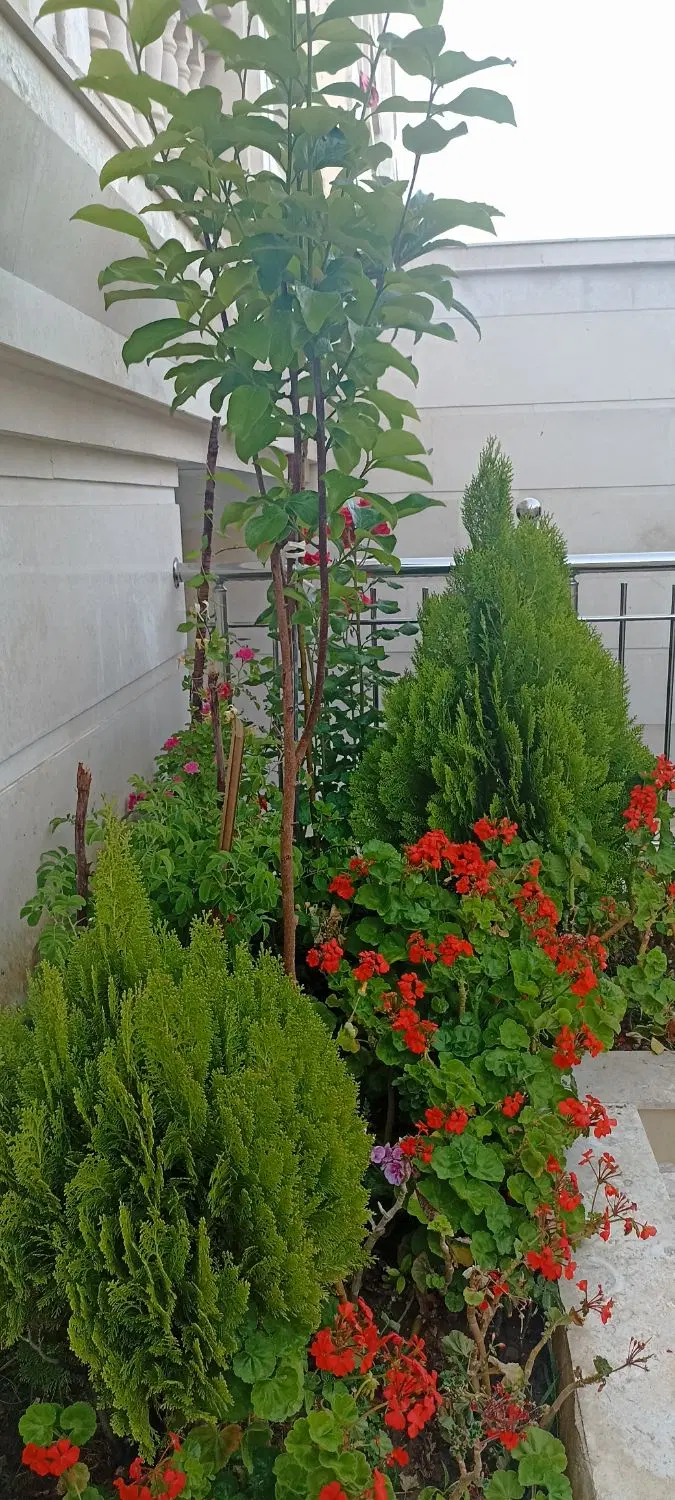 آپارتمان دوخوابه شهرک گلستان شمالیش