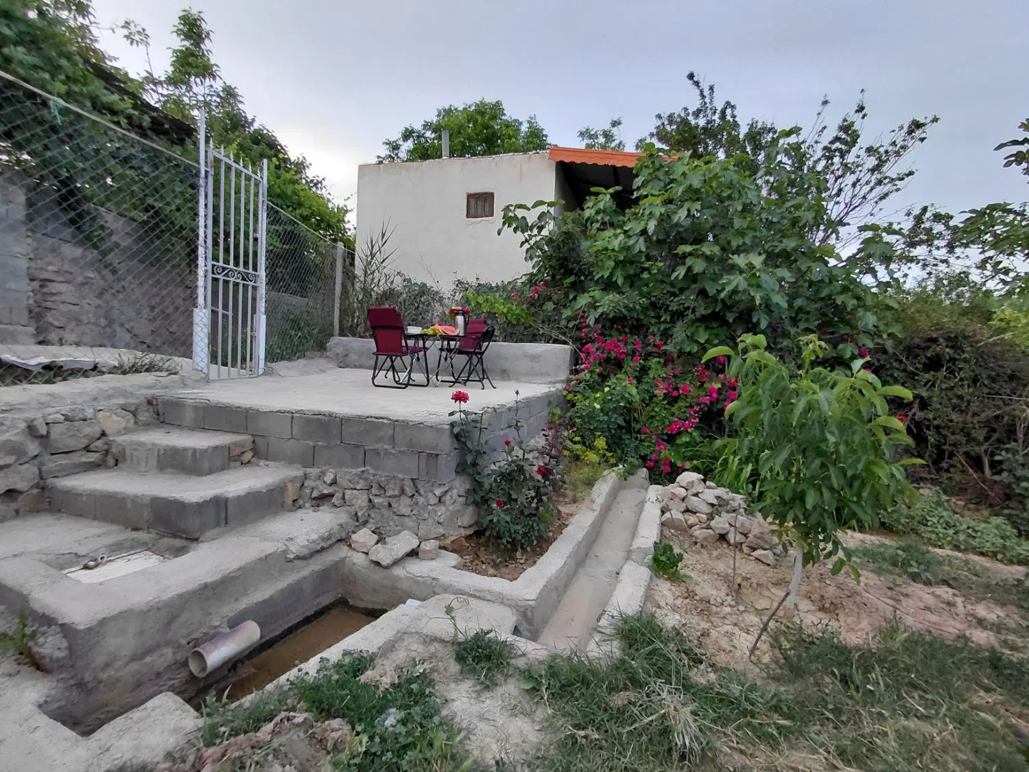 باغ حدود ۷۰۰ متر مربع
