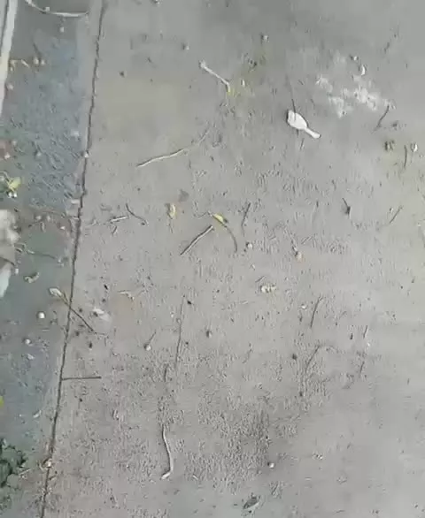 رهن اجاره مغازه باغسنگان سفلی صاحب الزمان چهار