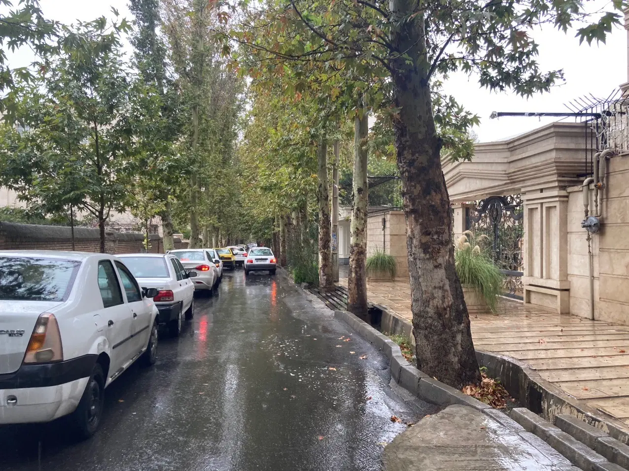 زمین بر خیابان امیرکبیر ، جنوبی