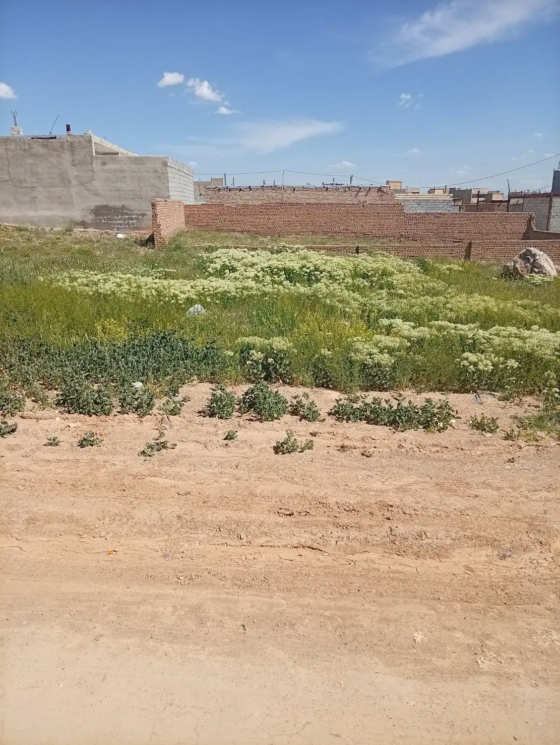 زمین فروشی در شهرک اوغلی