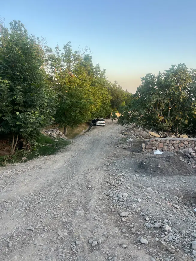 ۱۰۰۰متر. زمین باغی سند دارنزدیک اتوبان ده حلاج