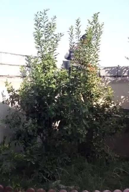 فروش ملک