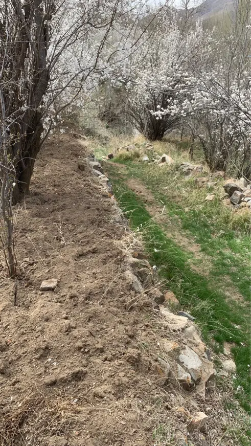 باغ ۵۰۰متری قهرود