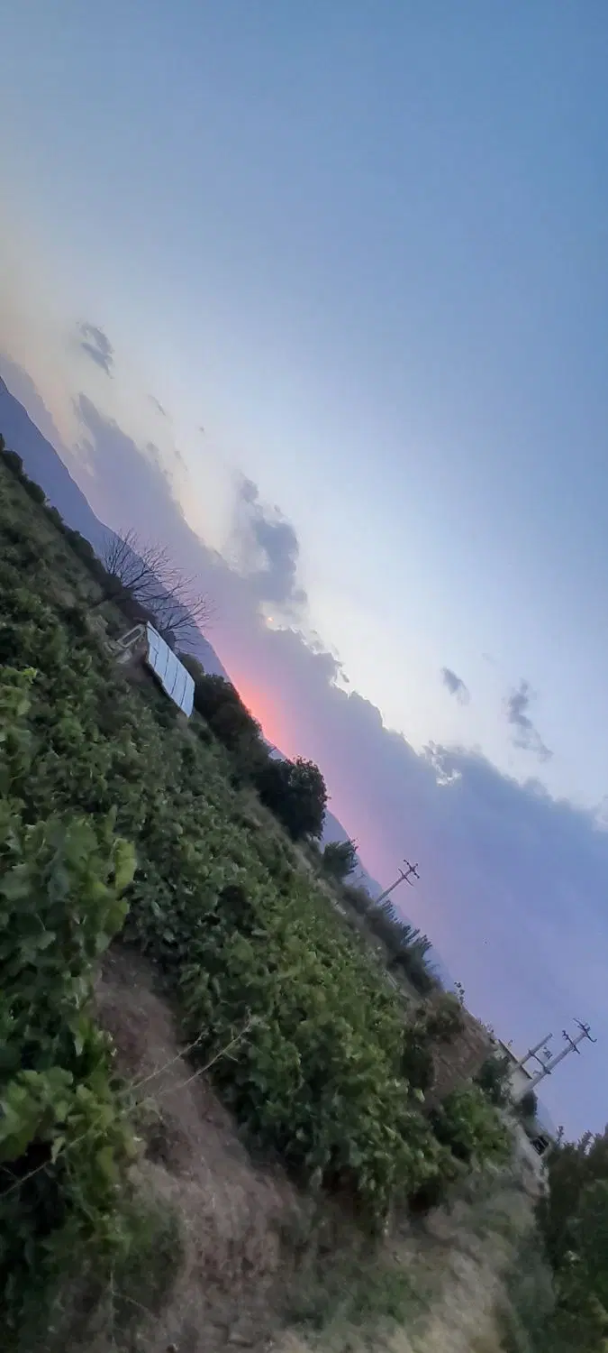 باغ