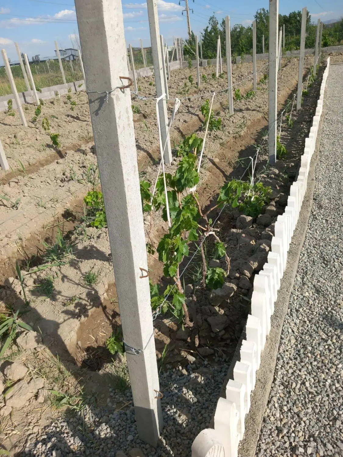 باغ1016متری قره آغاج کوه