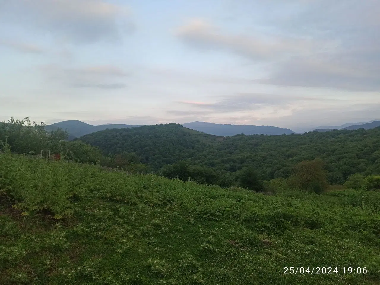 فروش زمین در بهمنان