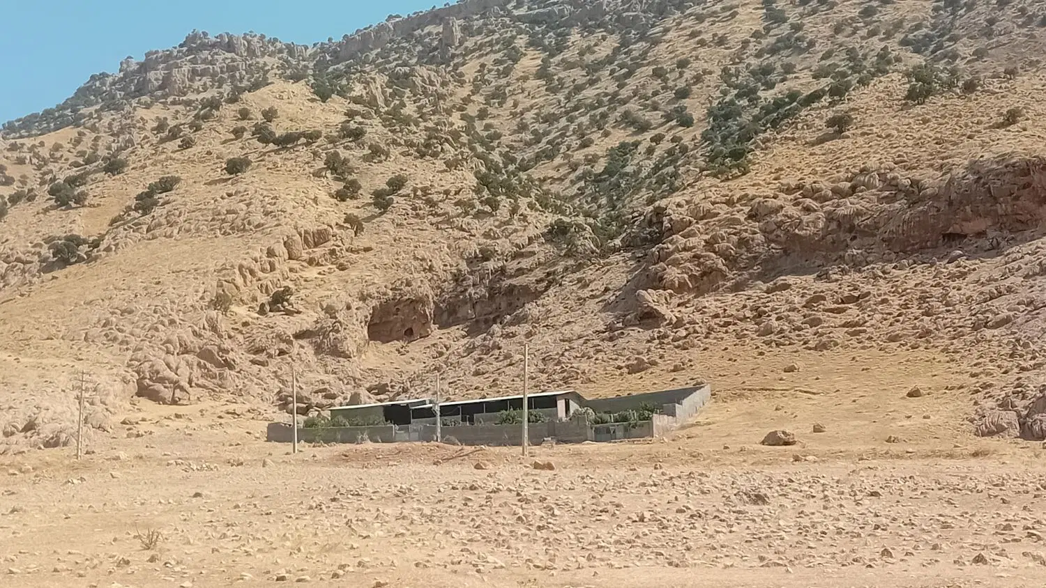 طرح پرواربندی بره300راسی
