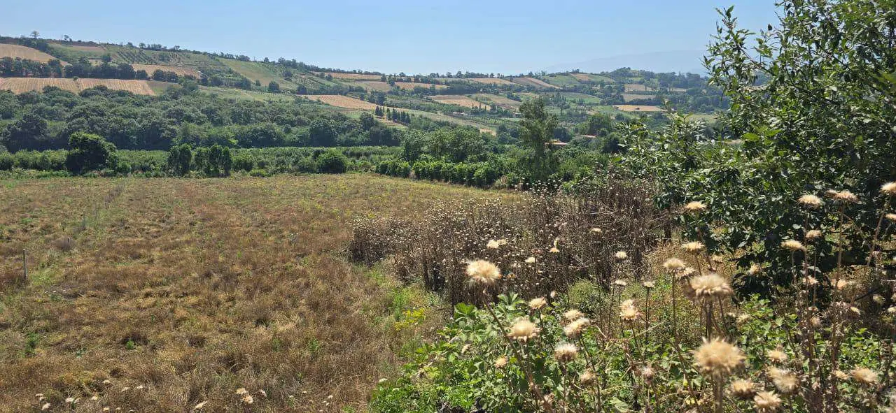 فروش زمین