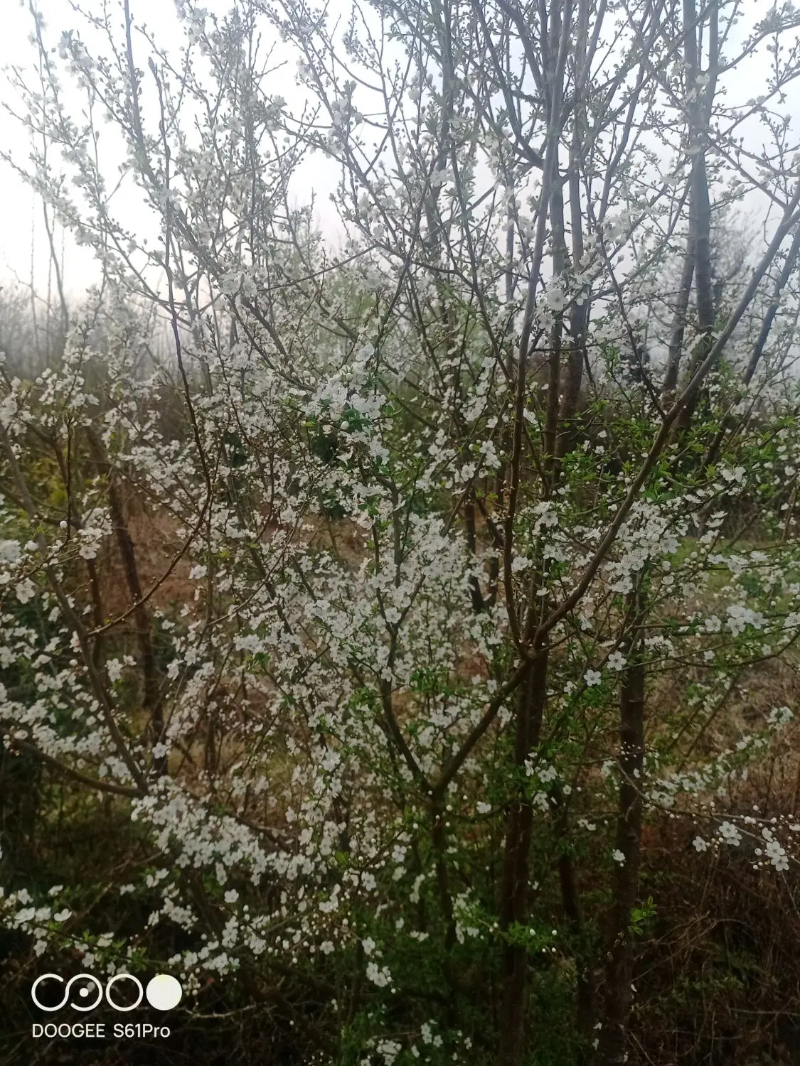 زمین با کاربری مسکونی