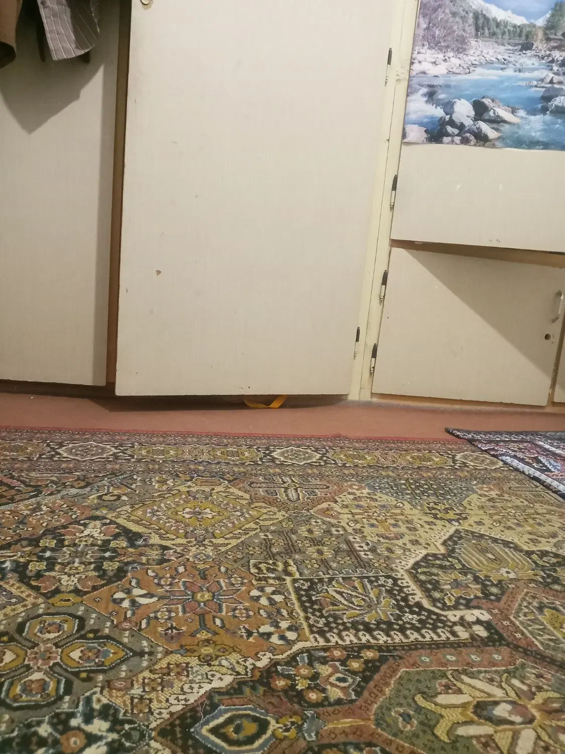 همخونه خانم دانشجو یا کارمند