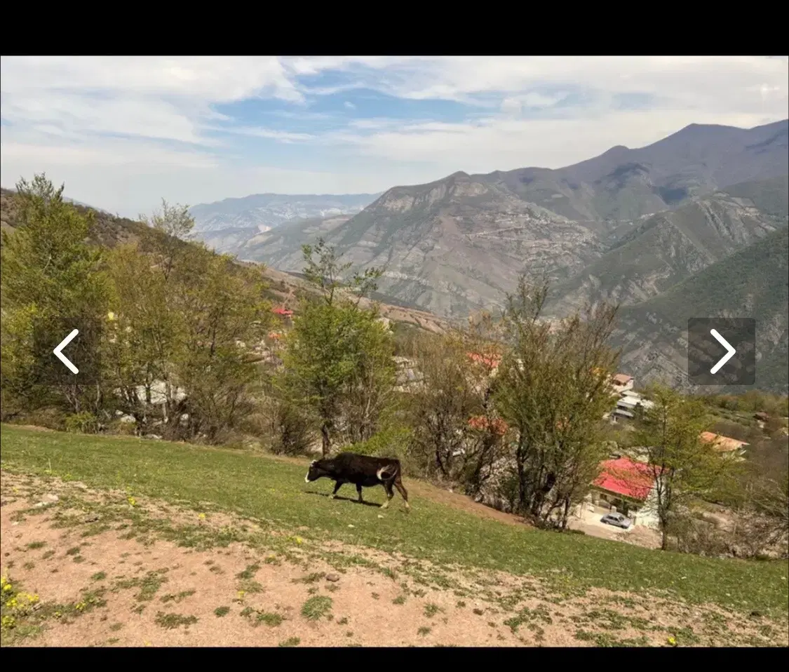 فروش ۲۴۵ متر زمین در چالوس،مرزن اباد روستای مرس