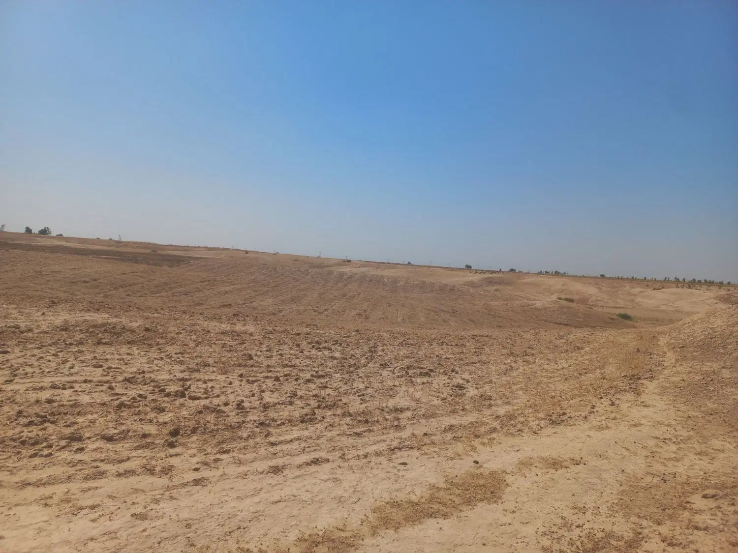 زمین کشاورزی