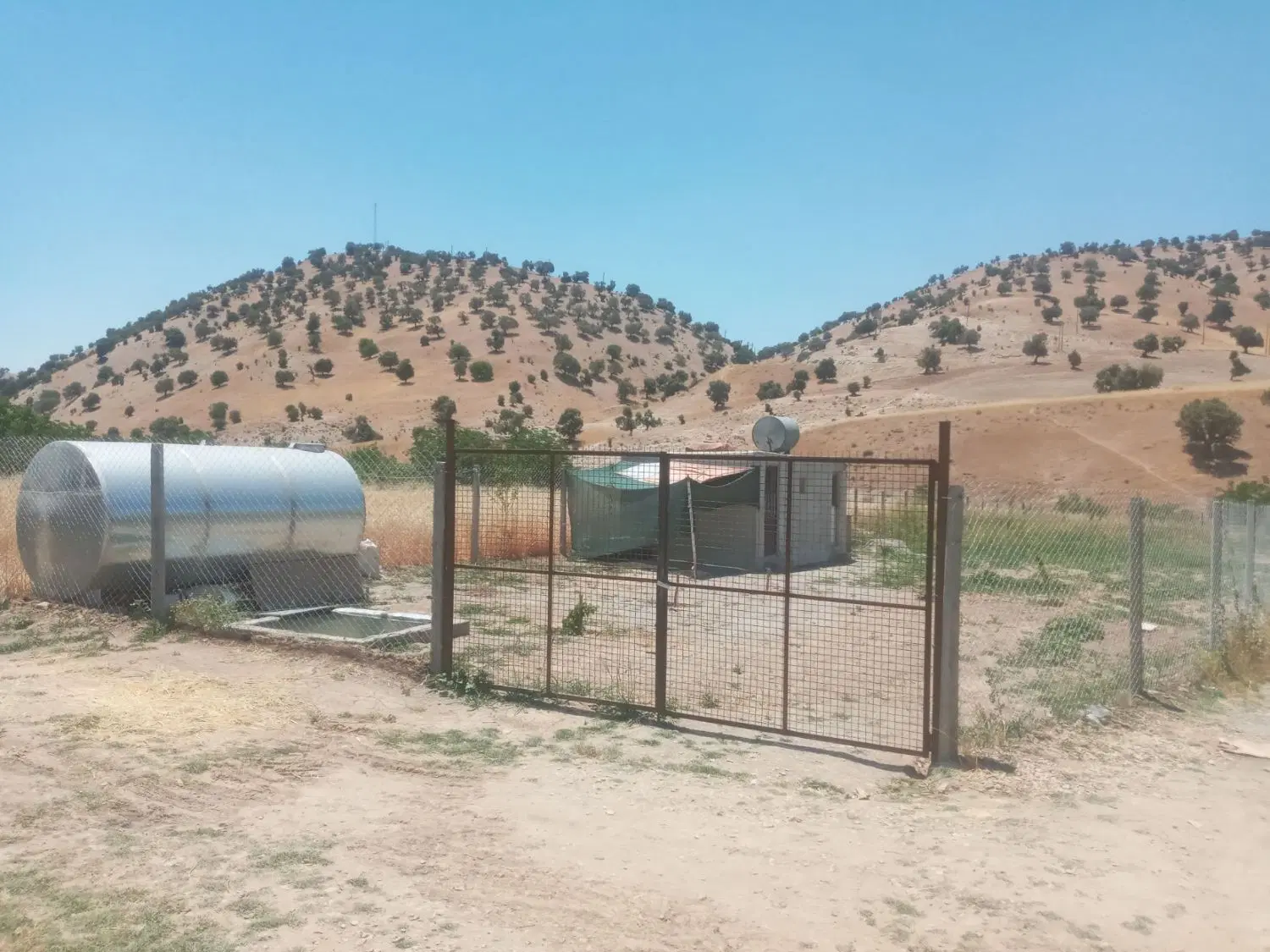 خانه باغ بلیین
