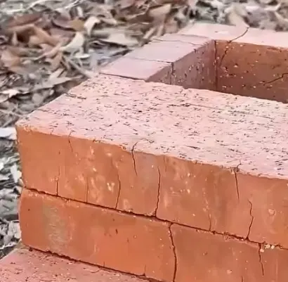 همخونه