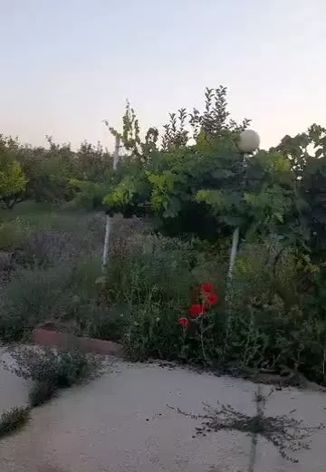 باغ ویلا در جاده سرو نرسیده به دانشگاه
