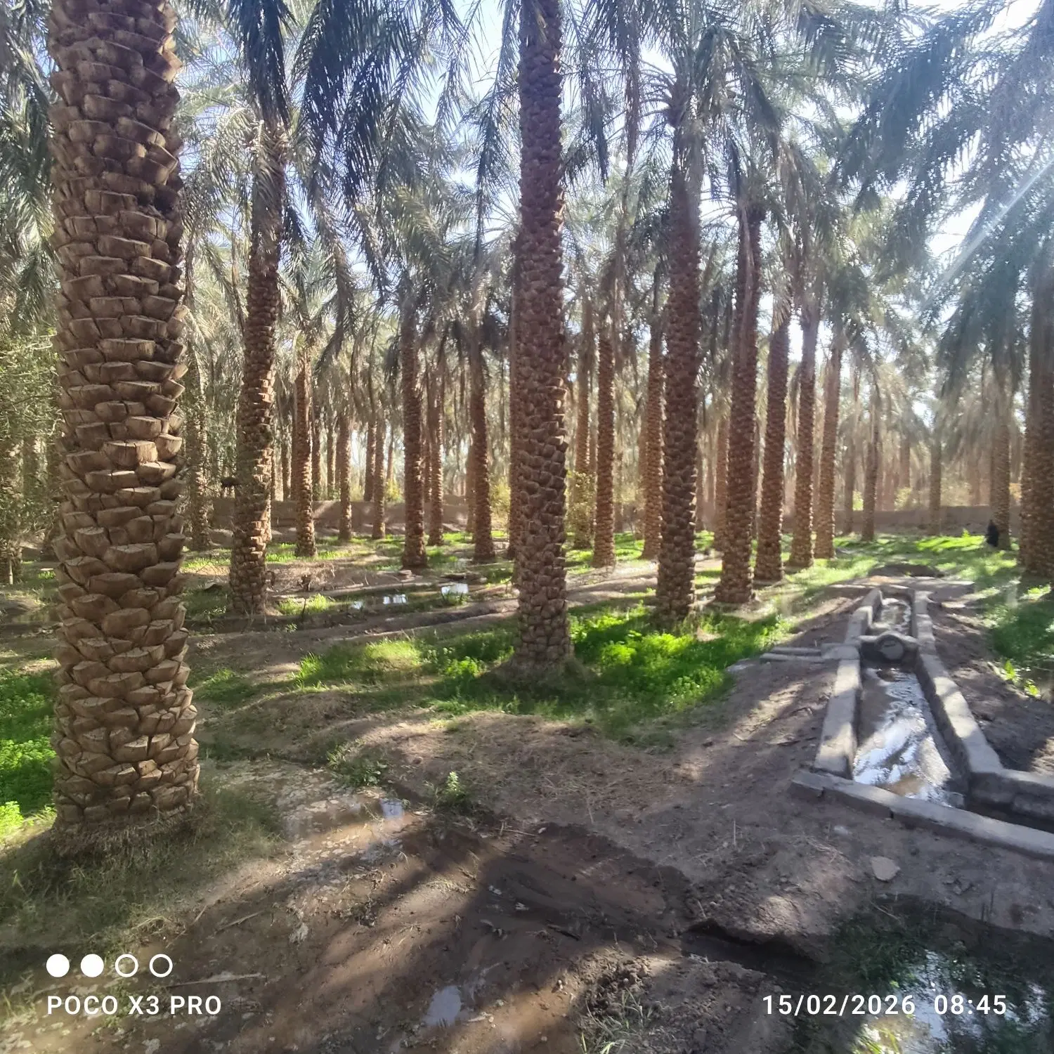باغ فروشی بروات