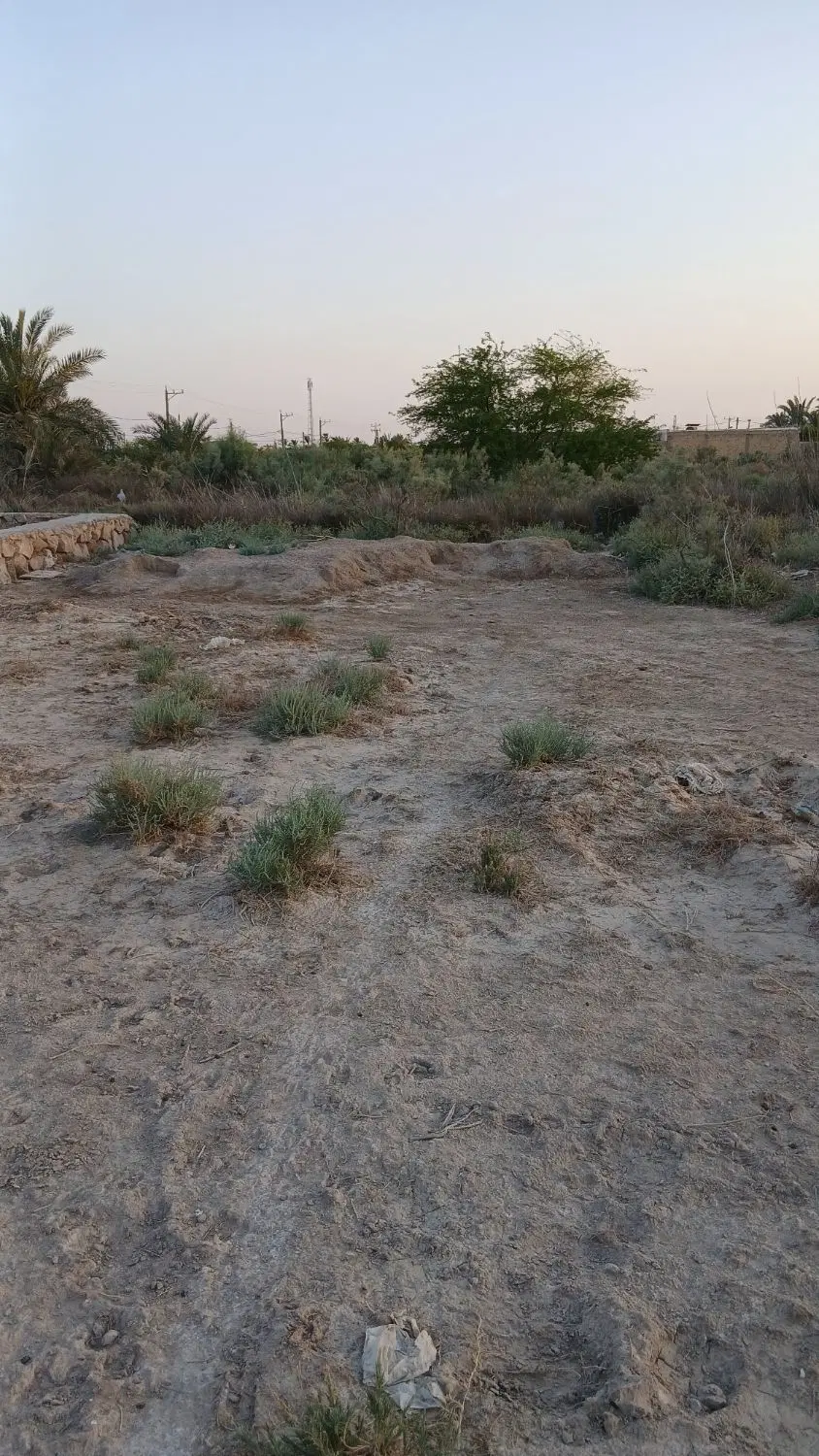 زمین