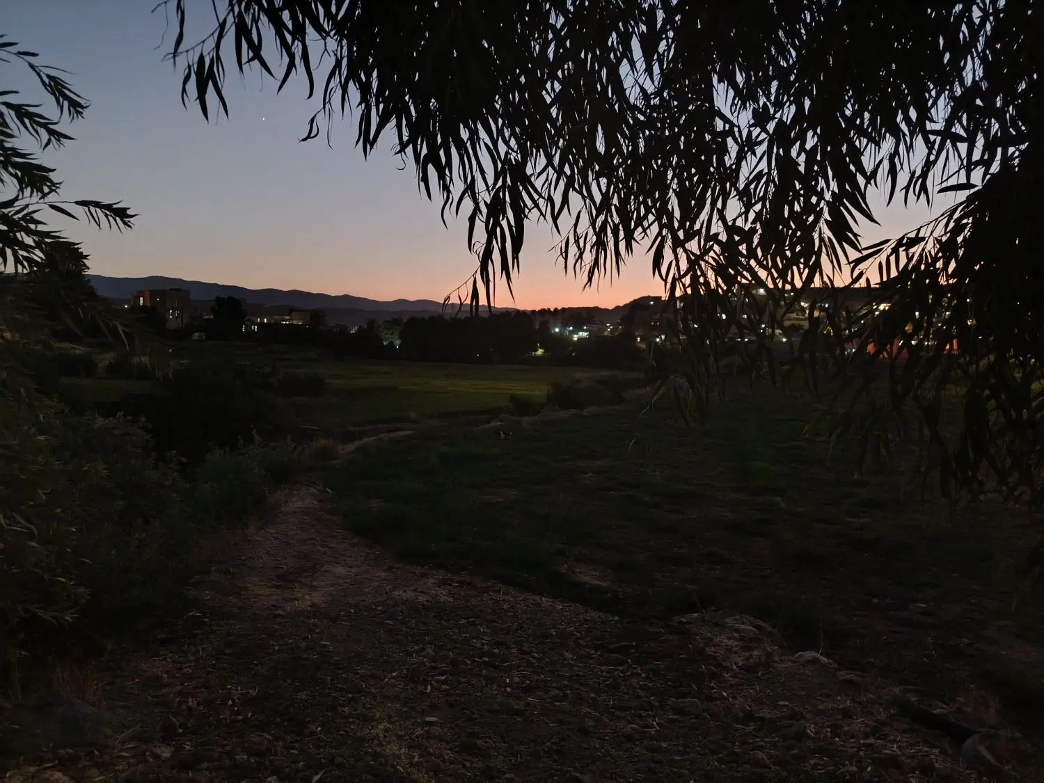زمین کشاورزی دیم