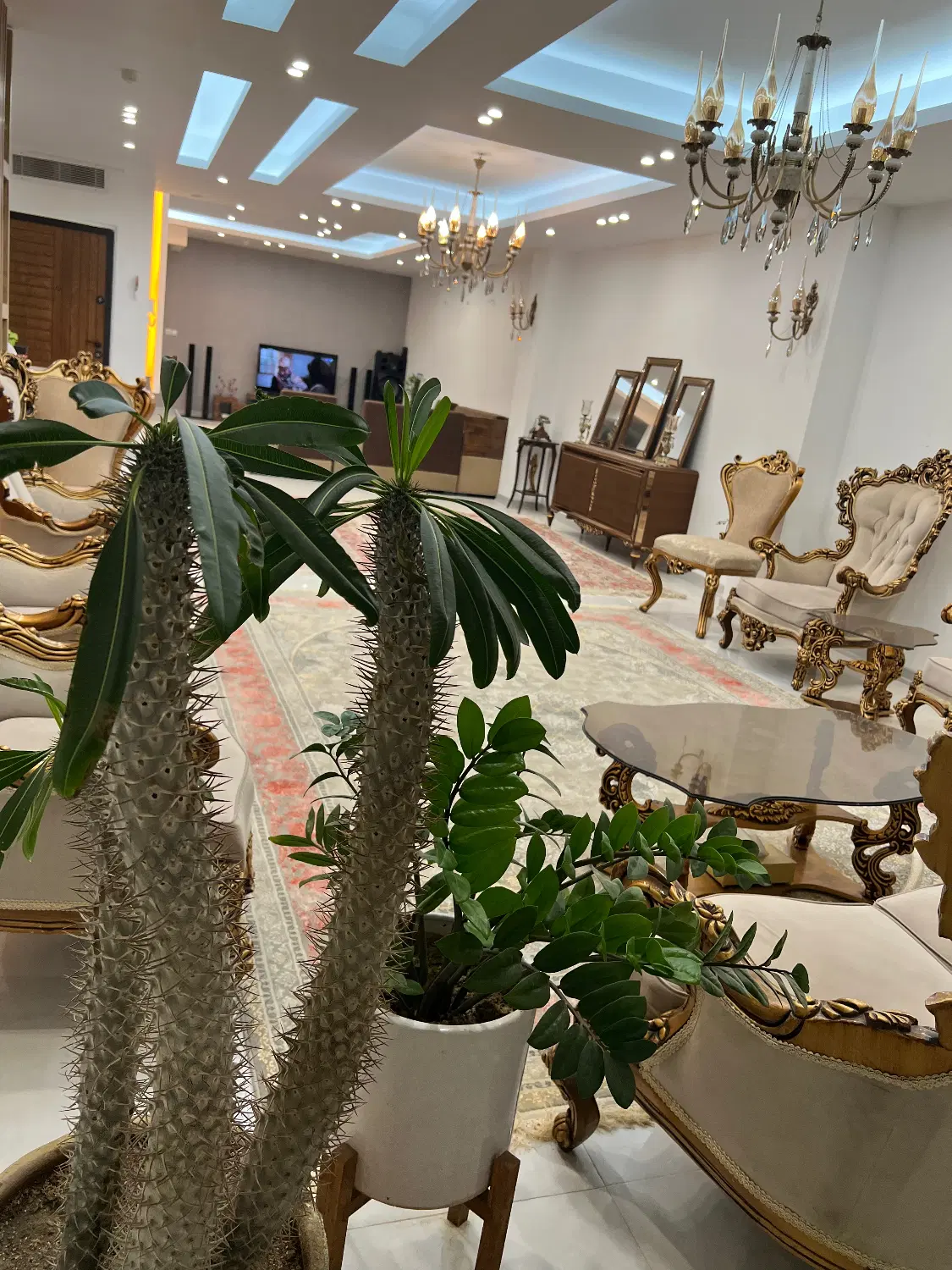 ۲۱۶ متری تک واحدی