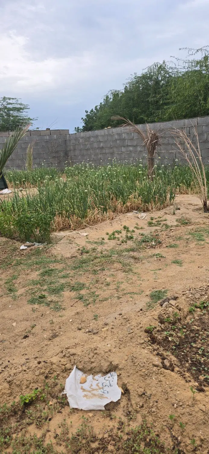 زمین بعد از پلیس راه