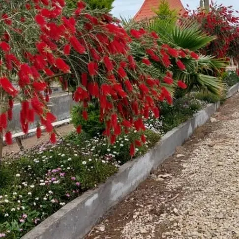 زمین ساحلی سند دار منطقه زیبای چپکرود