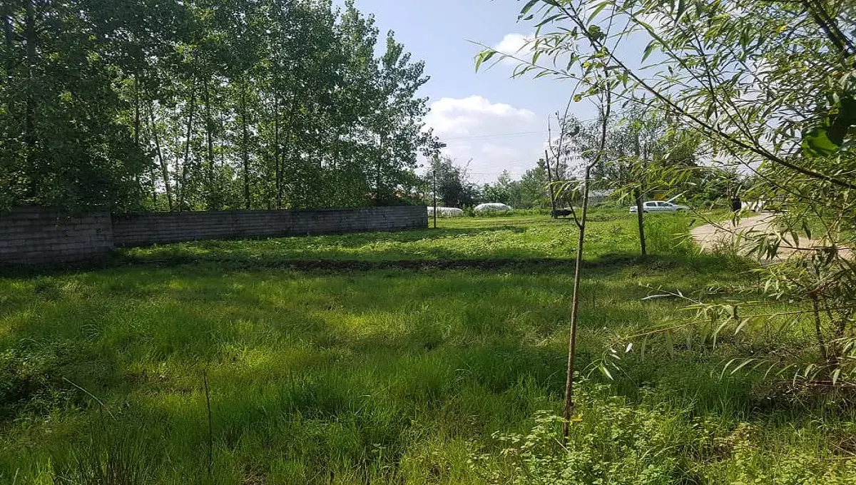 زمین رشت پیرکلاچای