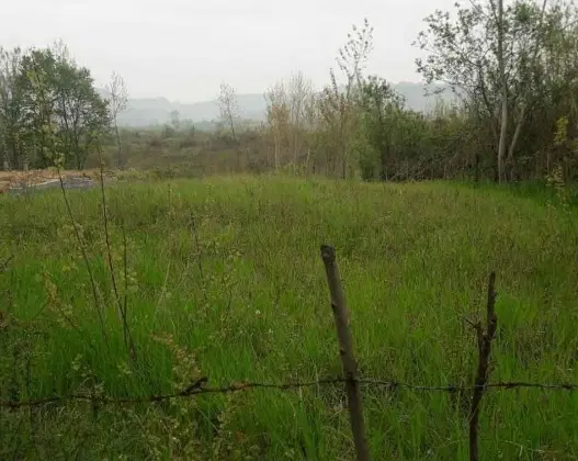 زمین به مساحت ۲۳۵ متر