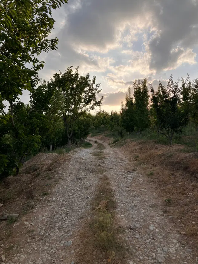 باغ میوه به همراه ویلای مسکونی ارجمند فیروزکوه