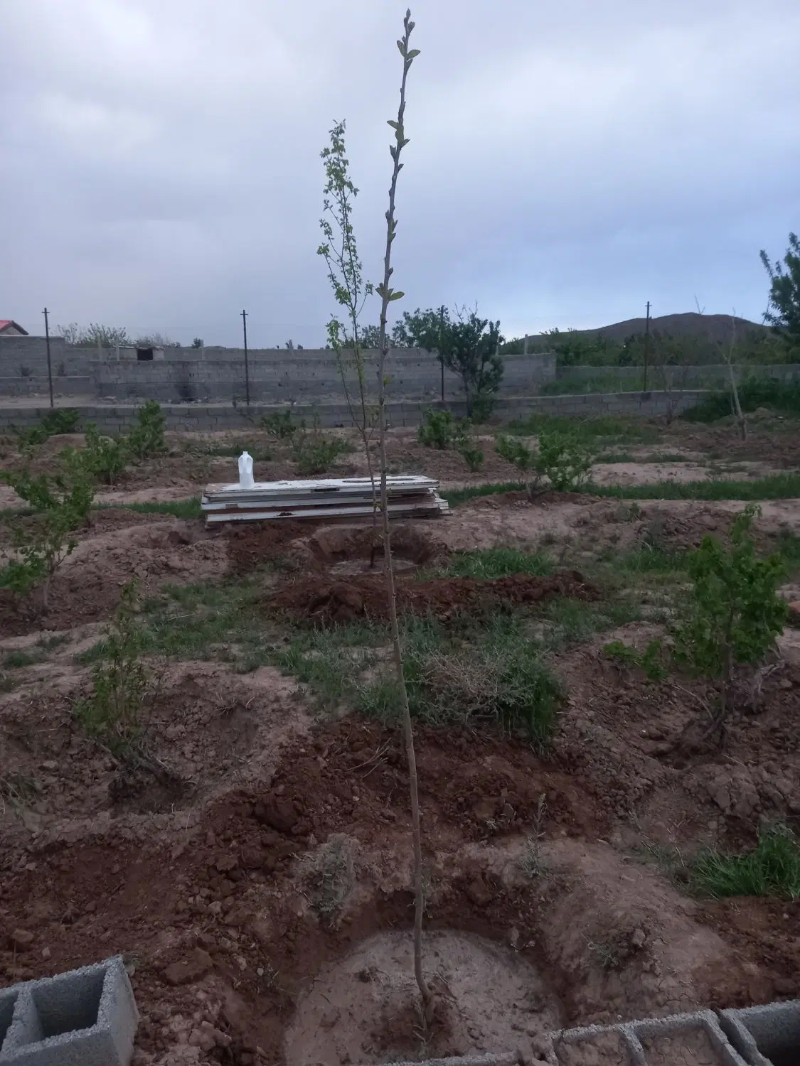 قطعه زمین فروشی