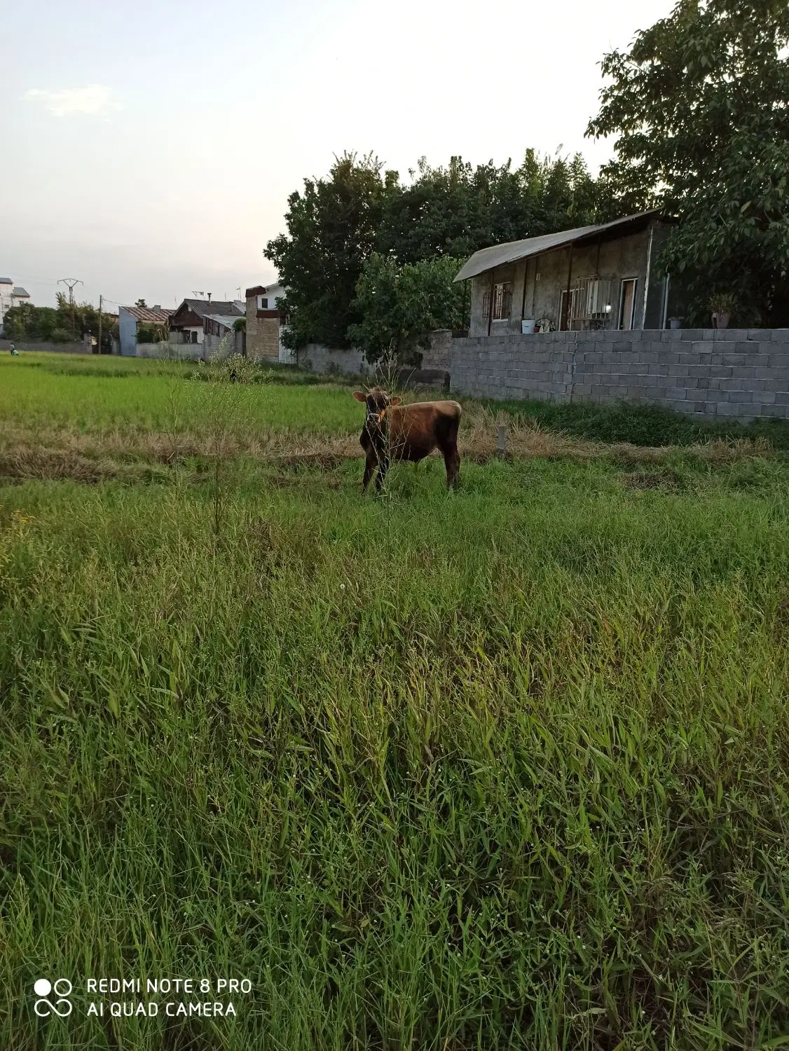 زمین سنگر مسکونی