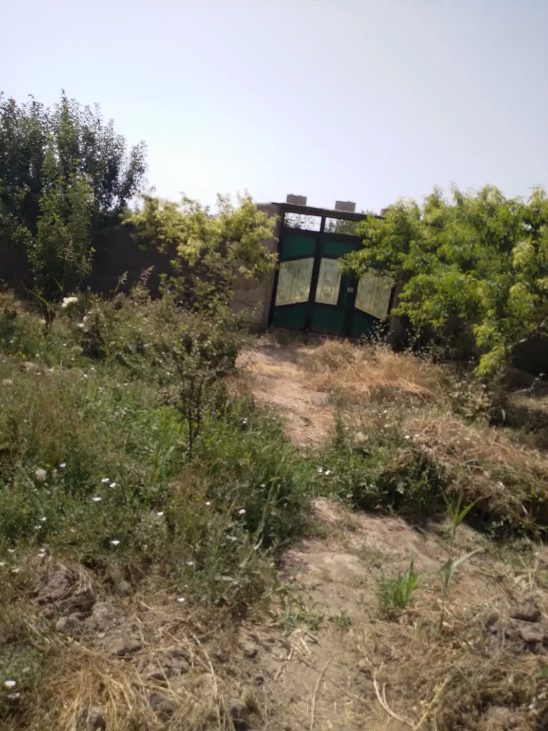 باغچه به متراژ ۵۰۰متر