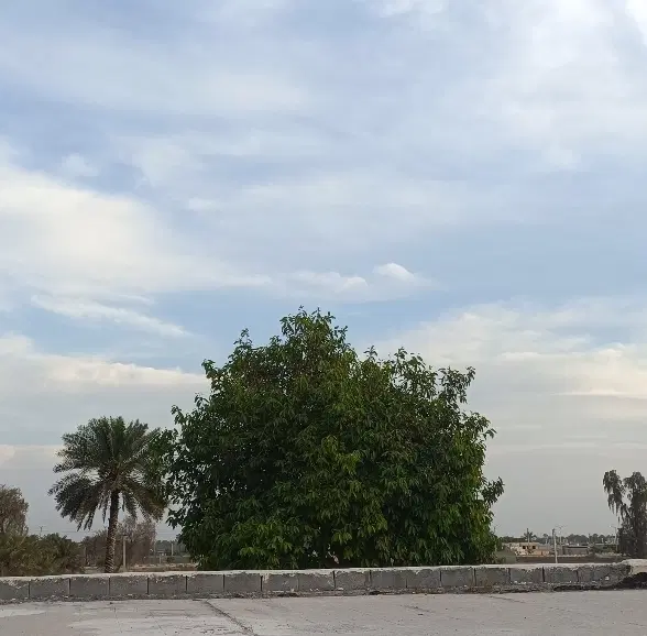 فروش زمین مسکونی