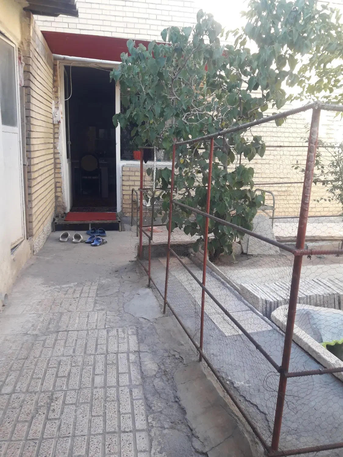 رهن و اجاره همکف دارای حیاط