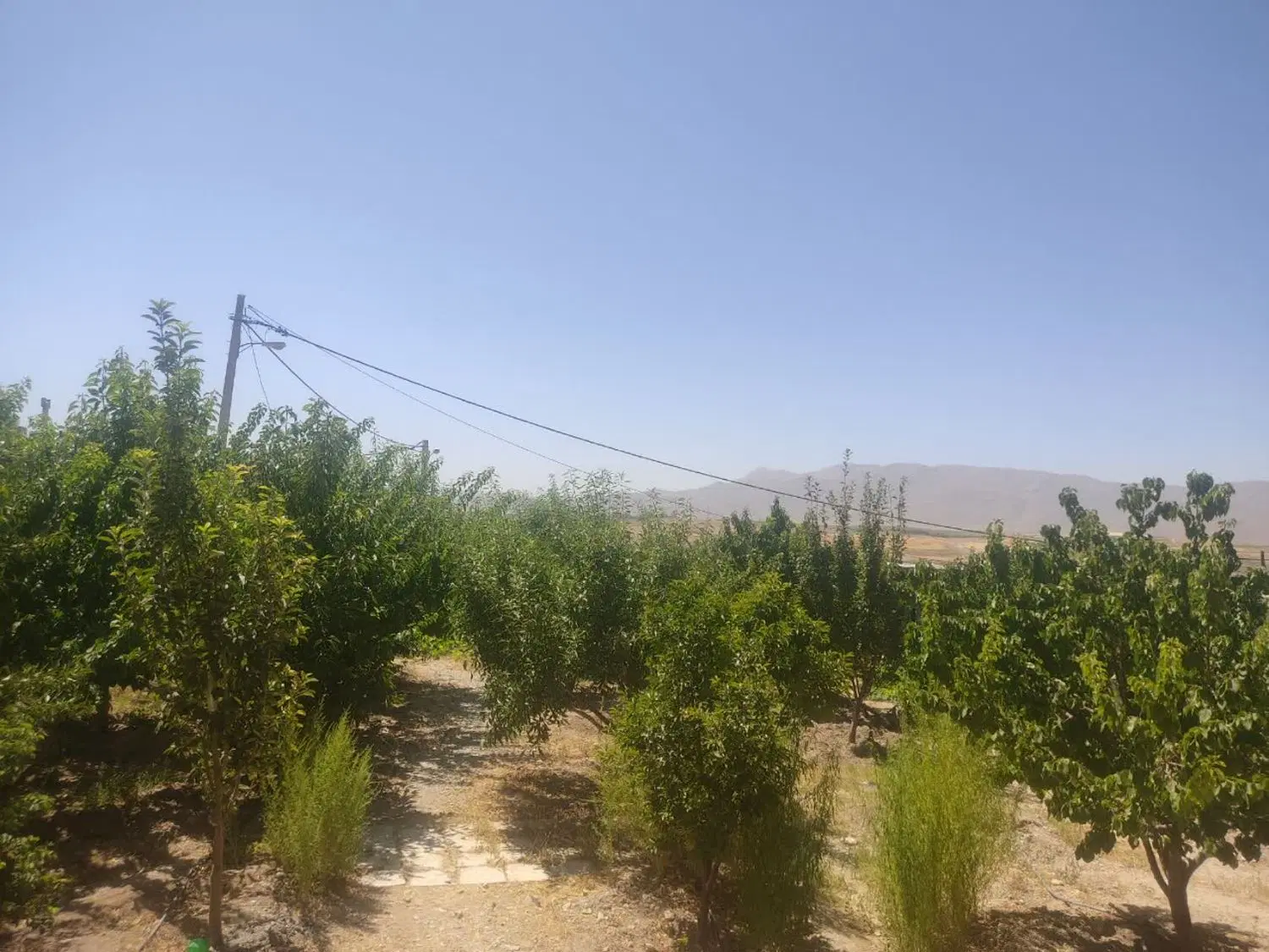 خانه ویلایی