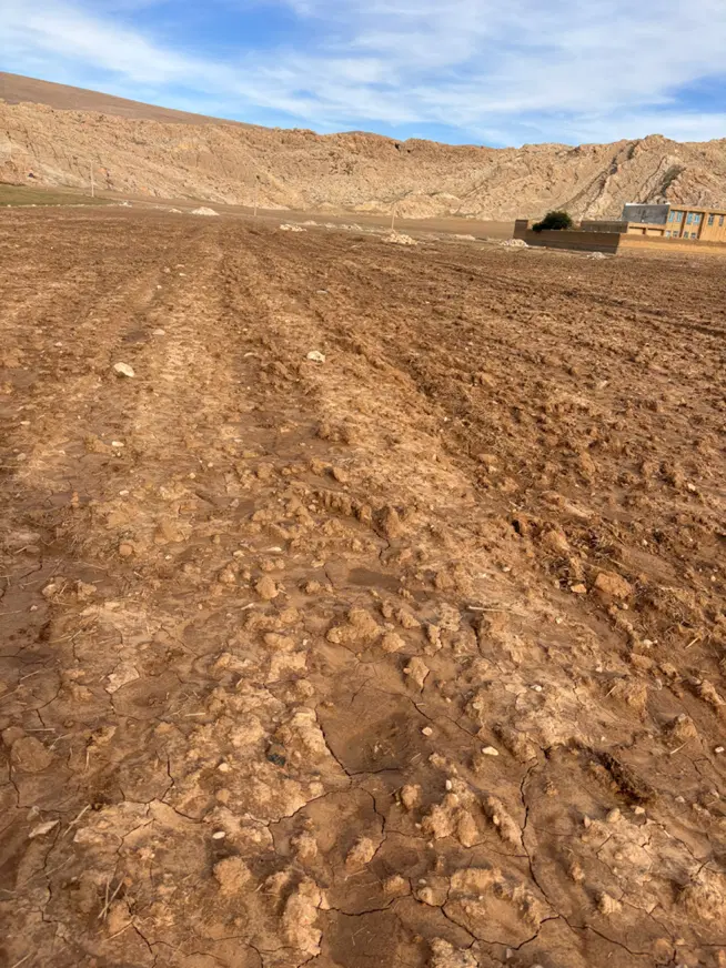 زمین امیر کبیر یک