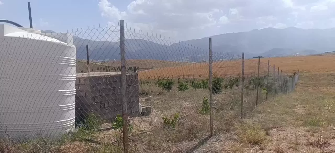 فروش زمین ۱۰۰۰متری در فیروزکوه