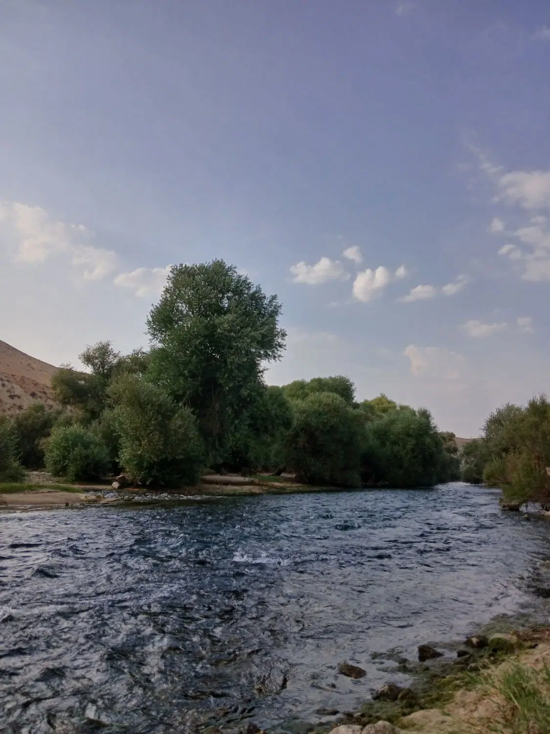 زمین شهرک معلم