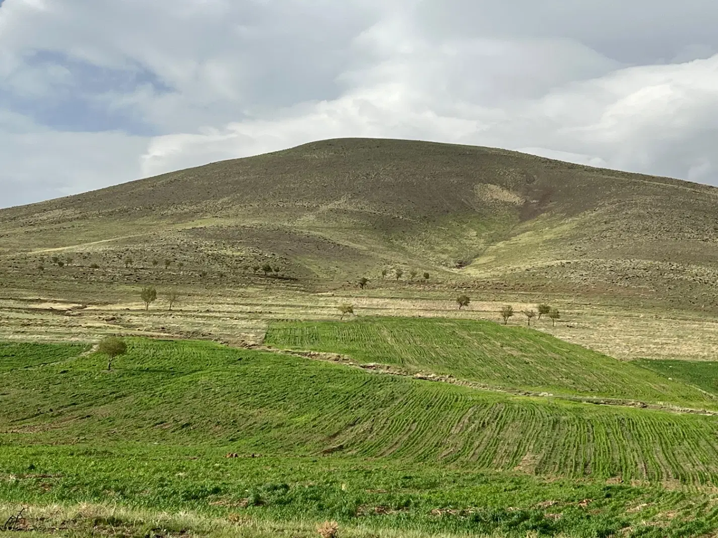 زمین باغی کرهرود
