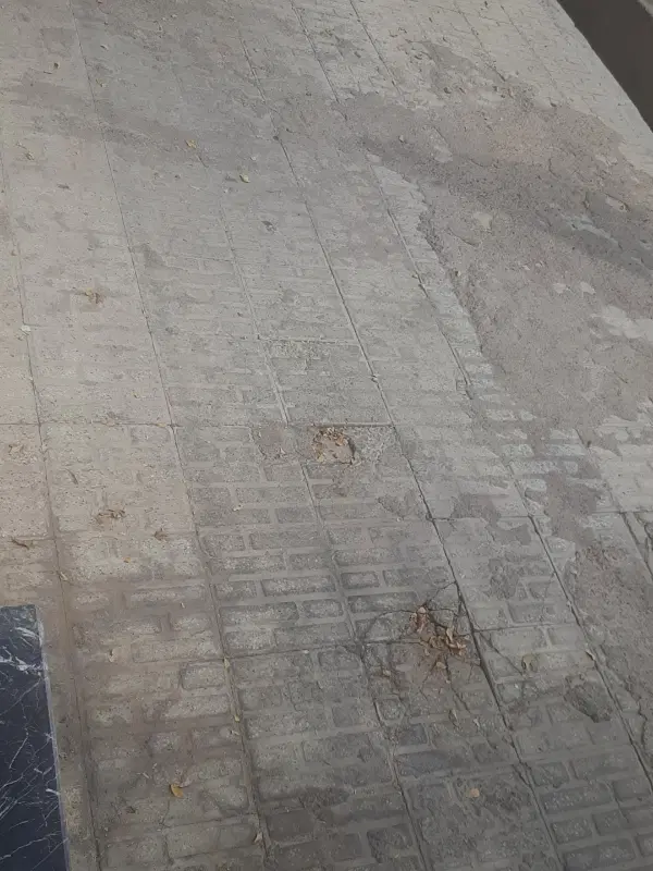 زمین مسکونی دودج زرقان