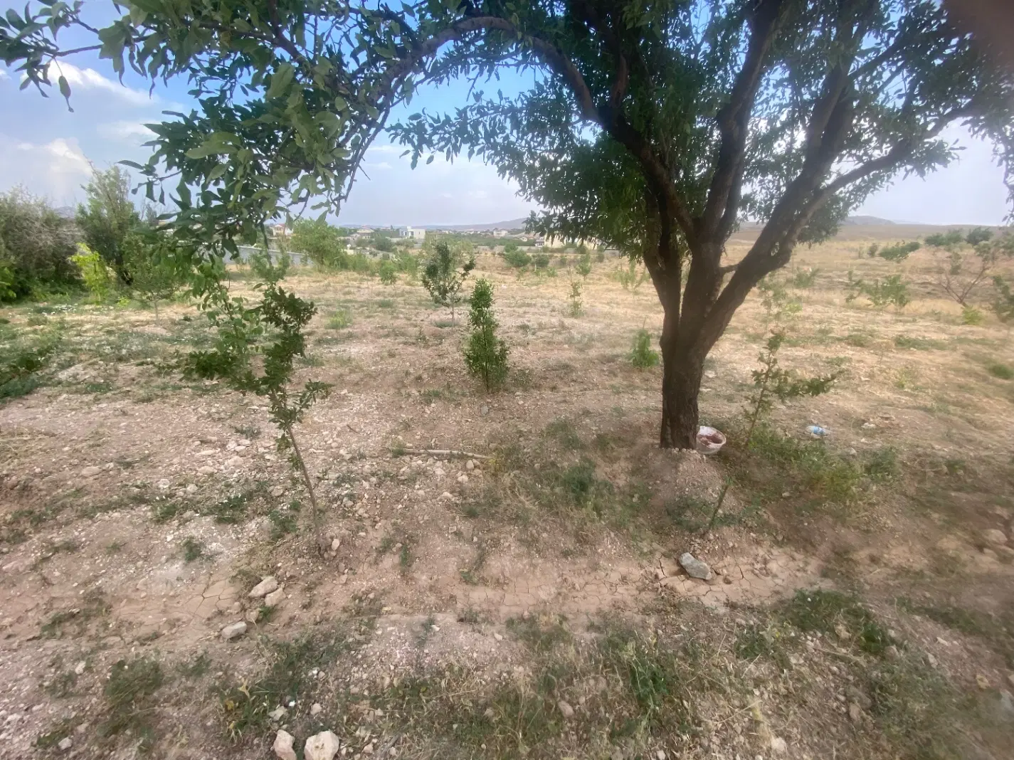 فروش زمین و باغ