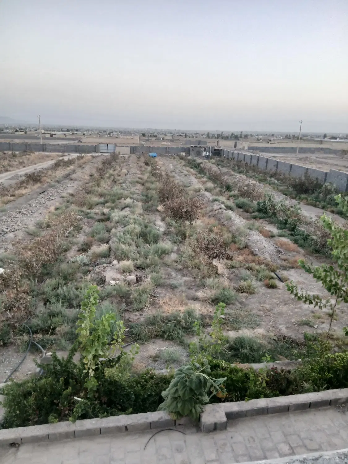 فروش زمین