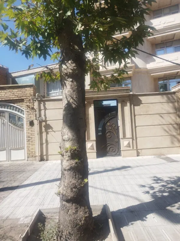 مسکن ملی