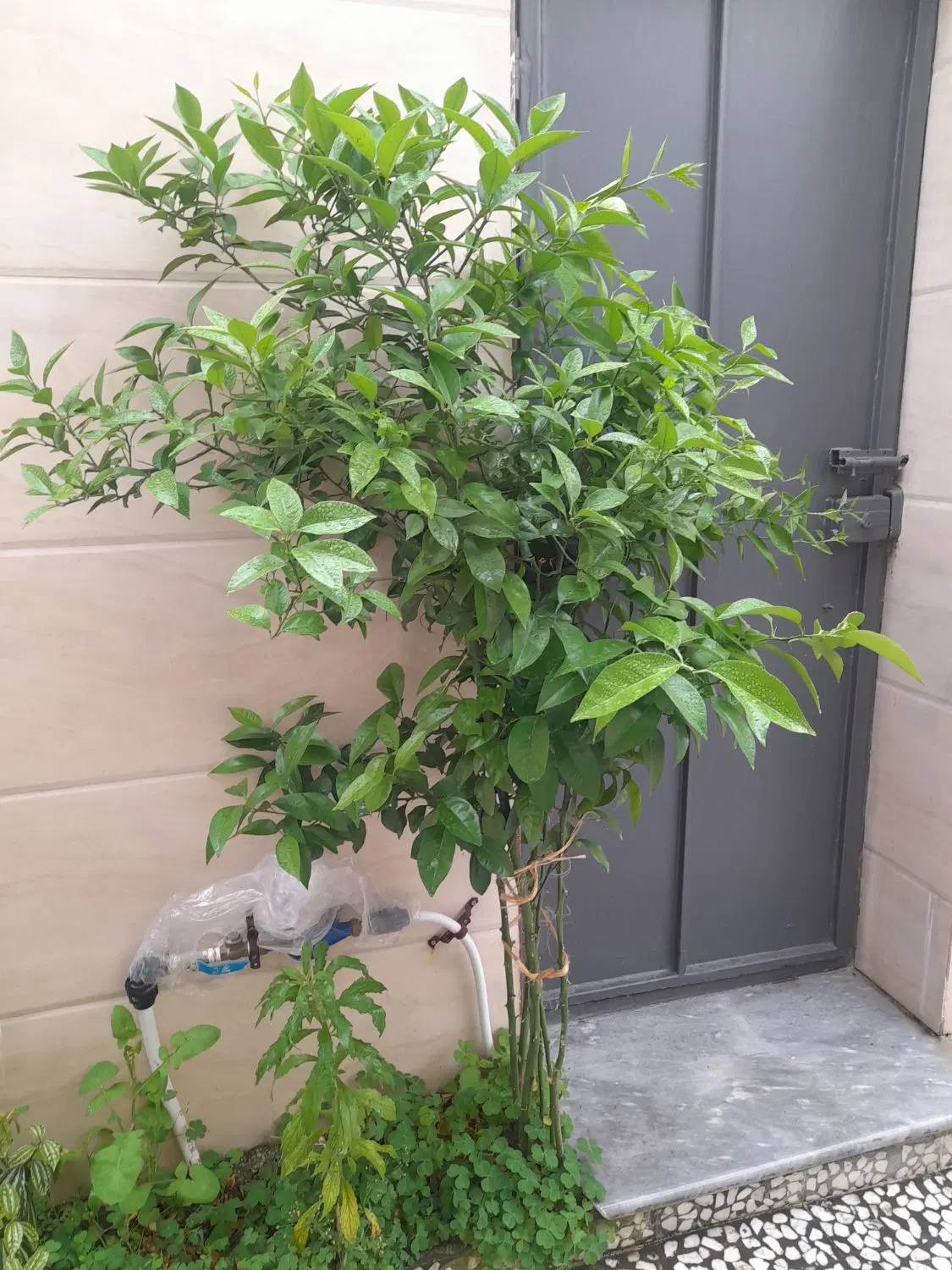 یک دستگاه منزل مسکونی  شهرک پارس خزرسند تک برگ